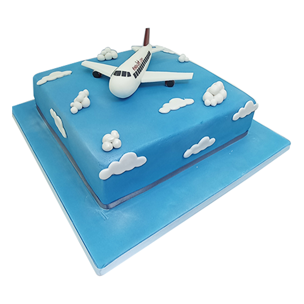 Aeroplane cake