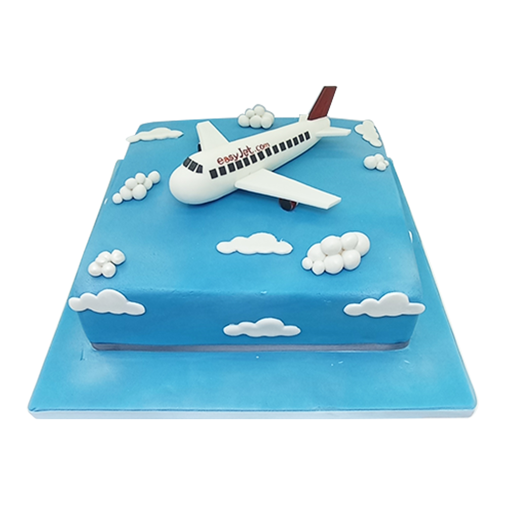 Aeroplane cake