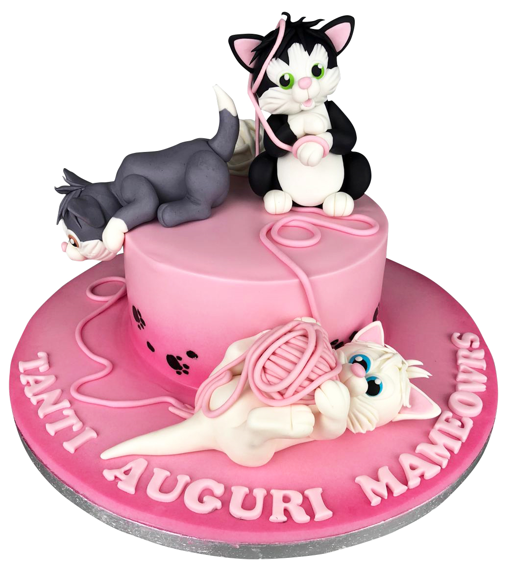Cat Cake